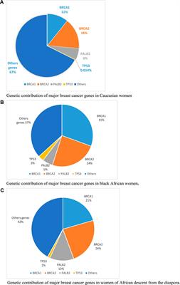 Genetic contribution of breast cancer genes in women of black African origin